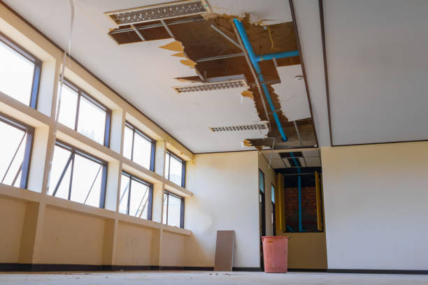 Best 24-hour water damage restoration  in Lillian, AL