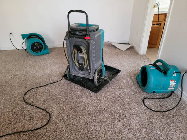 Best Mold removal after water damage  in Lillian, AL