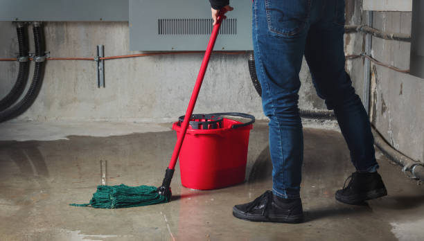 Best Local water damage restoration  in Lillian, AL