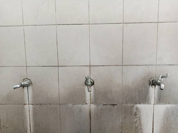 Best Water damage restoration near me  in Lillian, AL