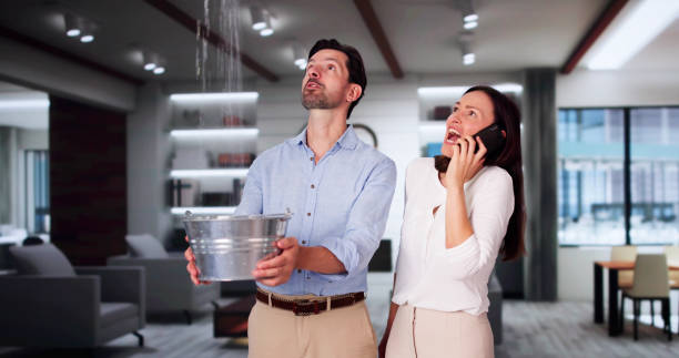 Best Water damage contractors near me  in Lillian, AL