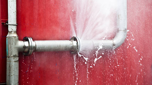 Best Carpet water damage restoration  in Lillian, AL